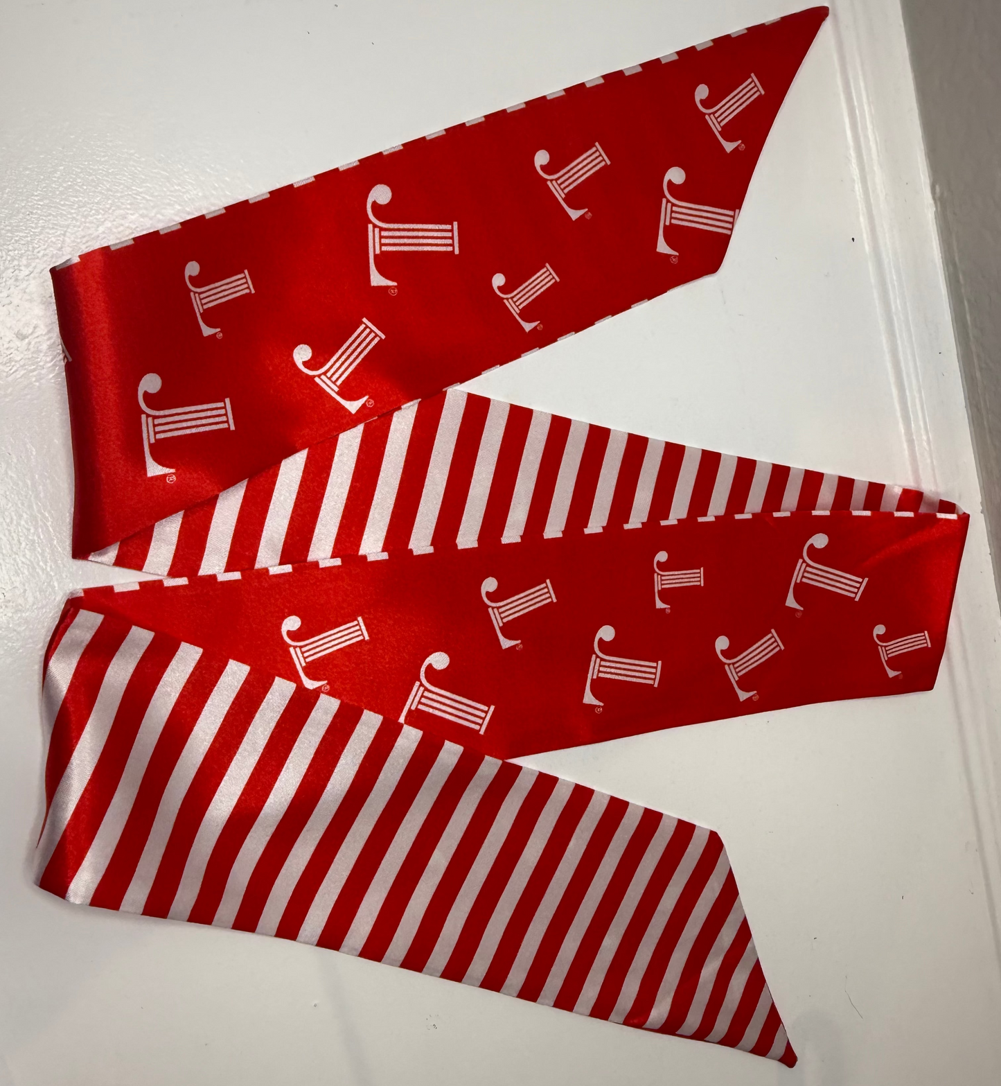 Junior League Skinny Scarf